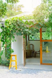 Small green shed garden house with window